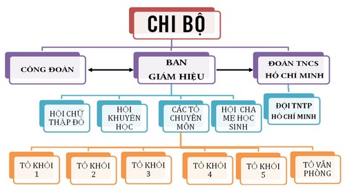 Sơ đồ tổ chức