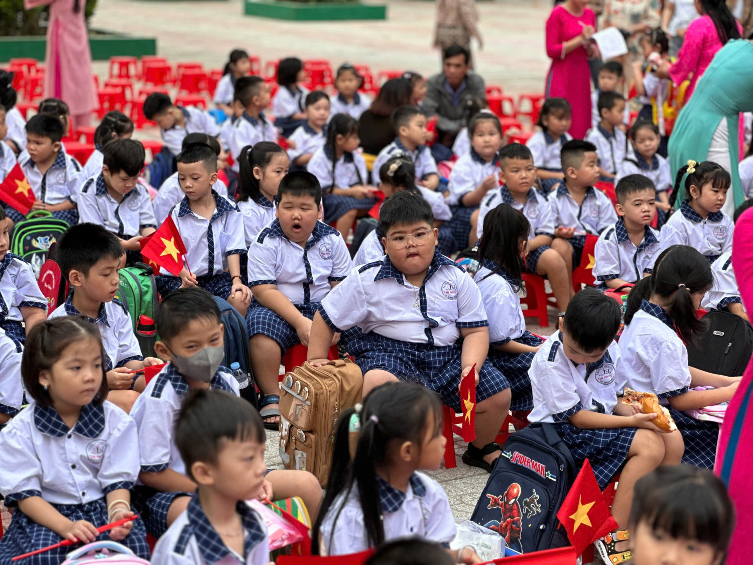 531e80fba5582d067449