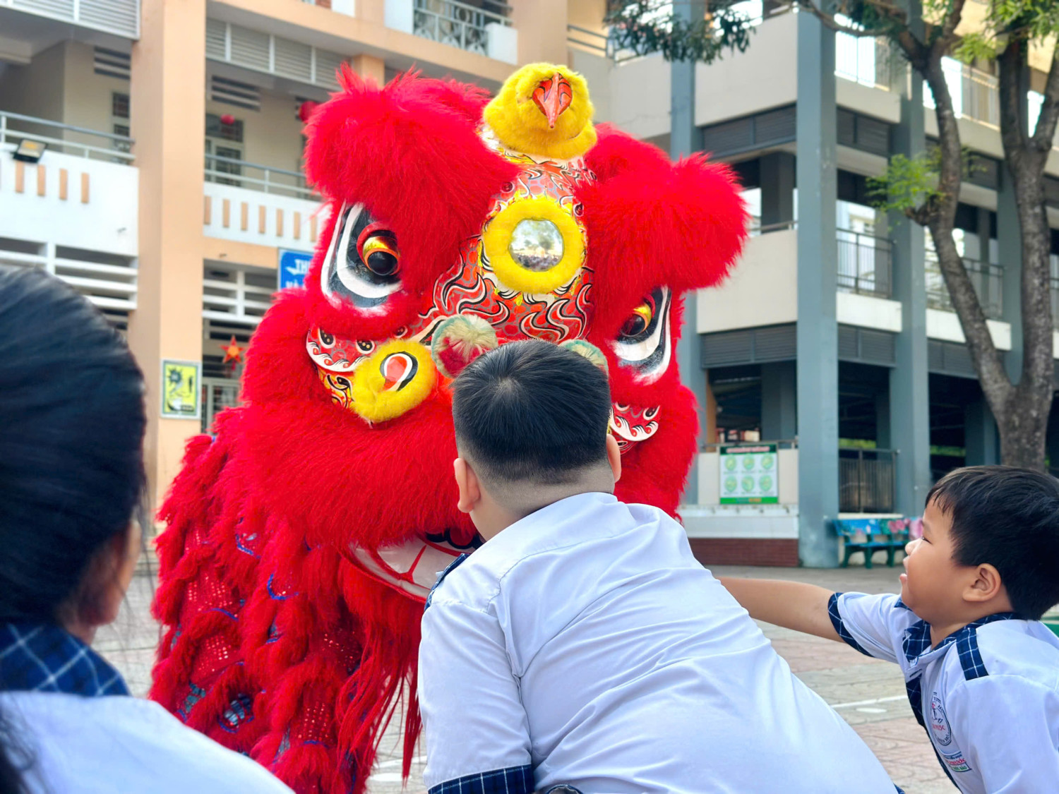 2e005b8ee1336b6d3222